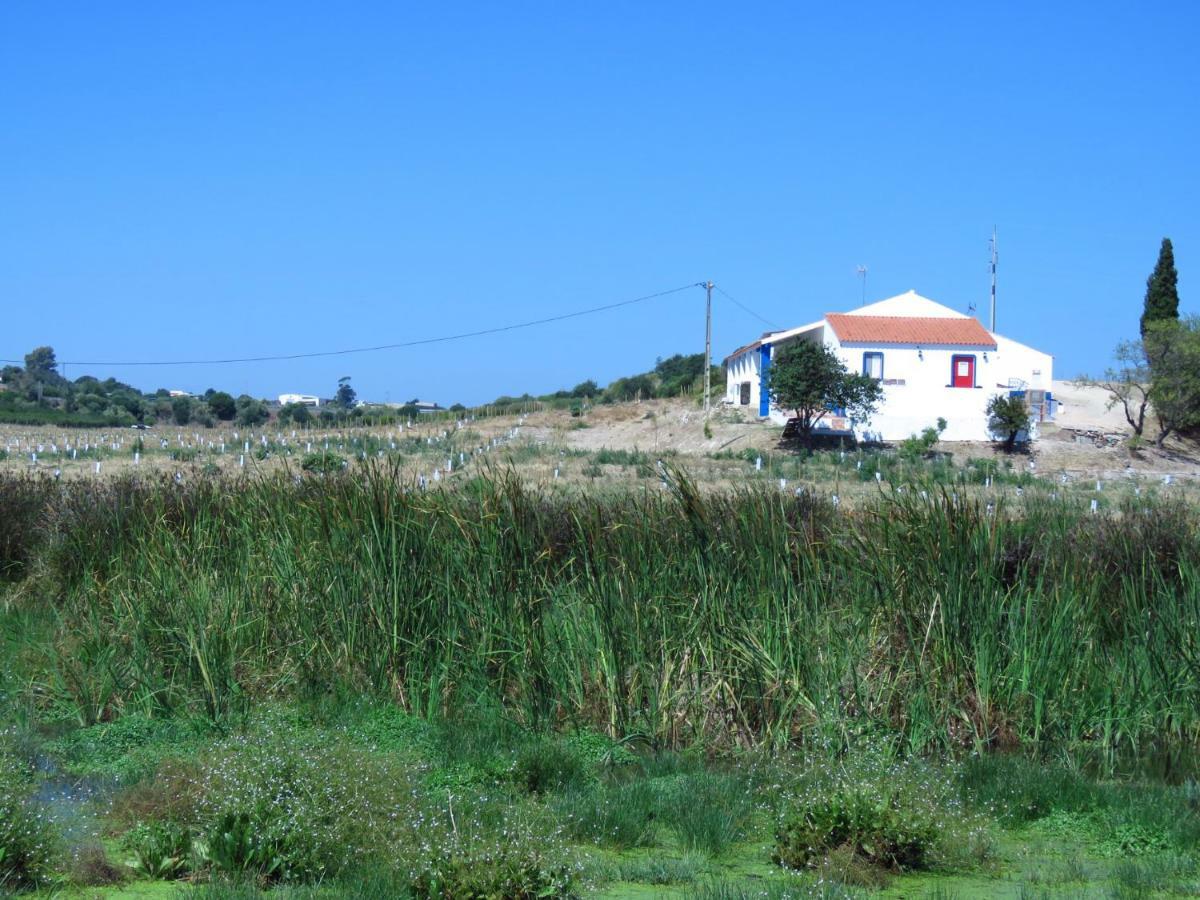 Vale Do Boto-Quinta Com 3 Casas Villa Castro Marim Eksteriør bilde