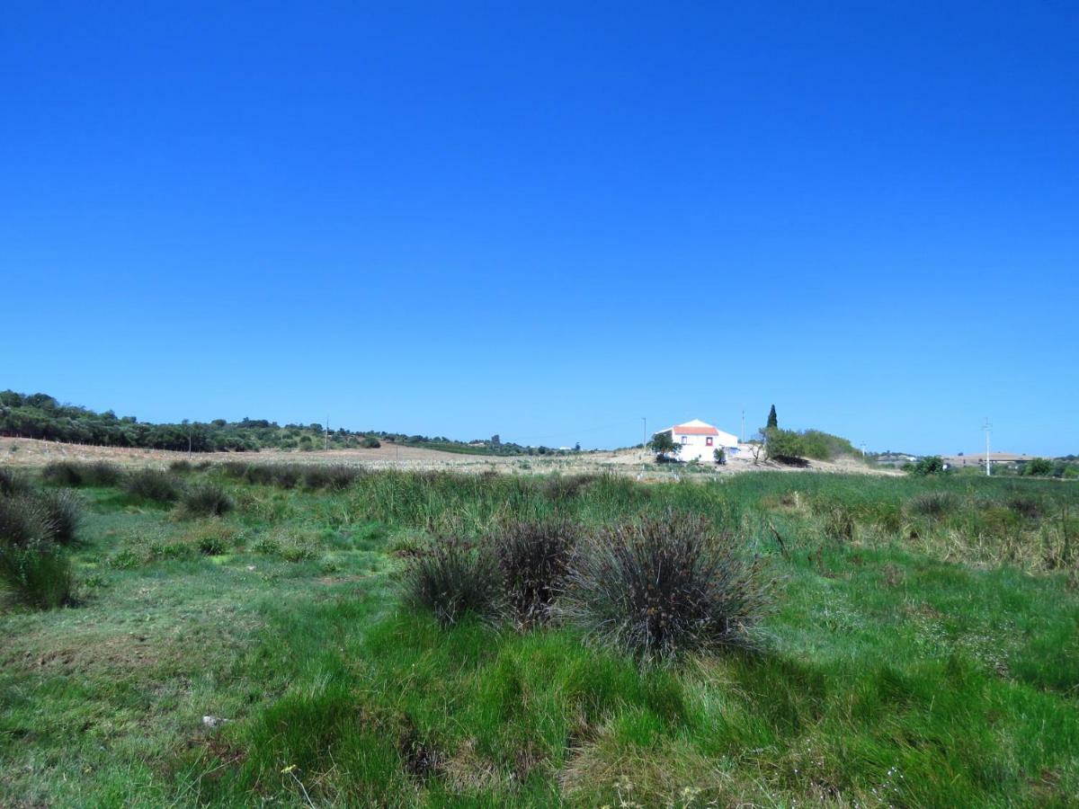 Vale Do Boto-Quinta Com 3 Casas Villa Castro Marim Eksteriør bilde
